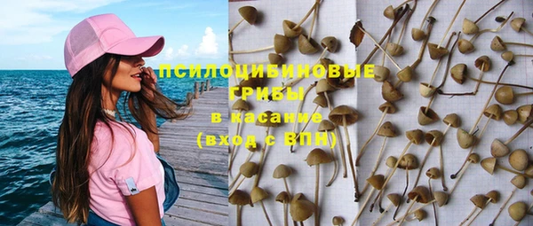кокаин премиум Богданович