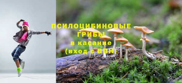 кокаин премиум Богданович