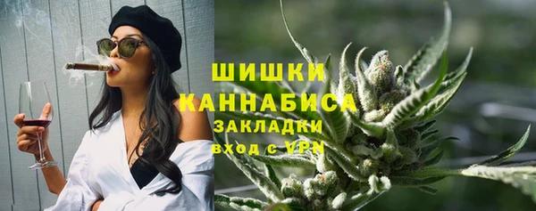 дурь Богородицк