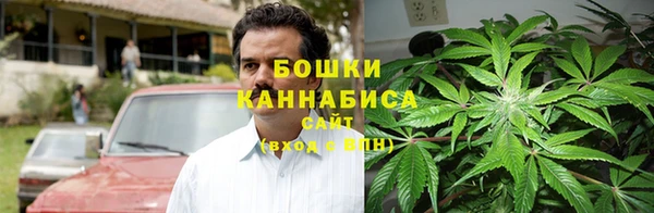 ECSTASY Белокуриха