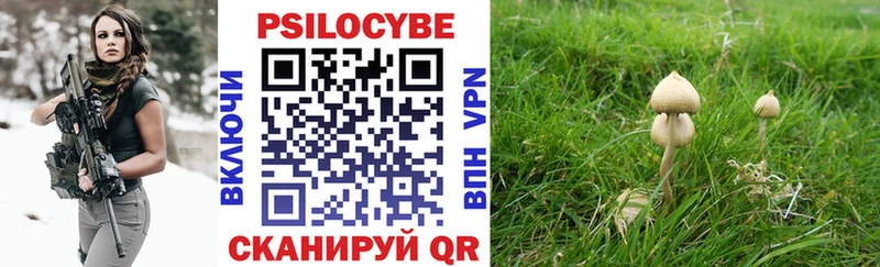 Галлюциногенные грибы прущие грибы  площадка клад  Павловская  наркота 